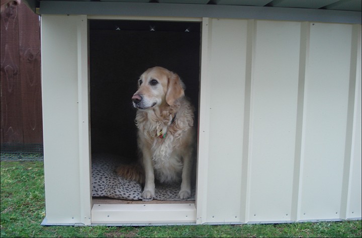 Unique Sheds